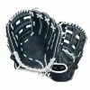 Rawlings Easton Future Elite Series 11" Glove (FE1100 Navy/White)