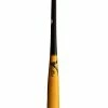 VICTUS TATIS 23 Pro Reserve Maple Wood Bat - Black/Walnut (VRWMFT23)